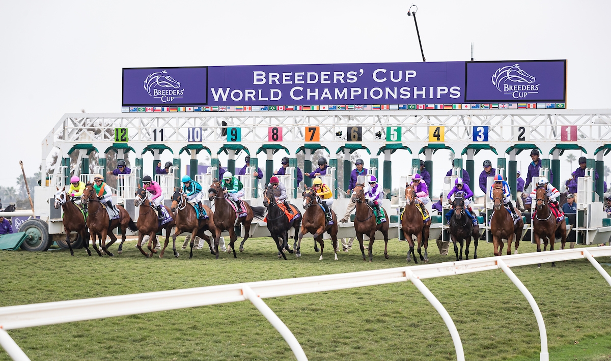 2024-BREEDERS-CUP